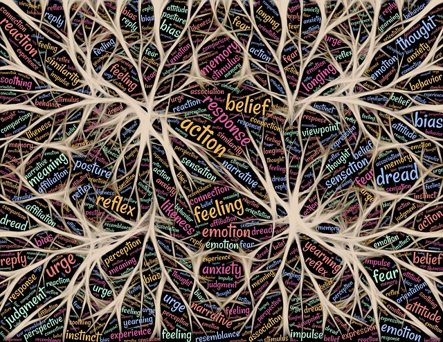 神経網と言葉